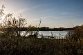 2015_11_15 (0043)